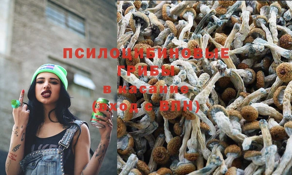 мяу мяу мука Костерёво