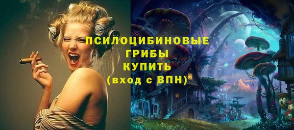 экстази Коряжма