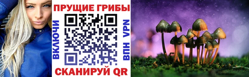 Галлюциногенные грибы ЛСД  Купить где  Чишмы 